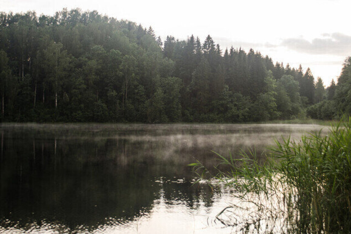 Drone crashes into lake in Baltic state 