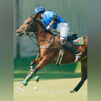 Jindal/Carysil advances to final of Jindal Steel Indian Open Polo Championship 2025