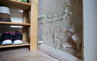 Spending watchdog exposes 'unacceptable, systemic failings' in government insulation scheme