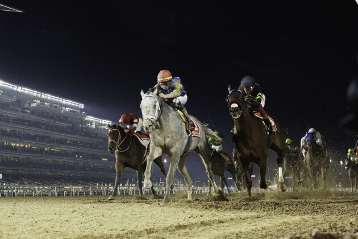 100 horses to compete in 30th Dubai World Cup tomorrow