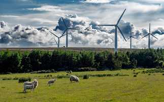 'Conflict costs': Failure to manage community opposition a material risk for renewables developers