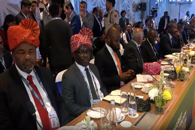 India-Africa meet stresses execution, grid planning and financing in energy transition