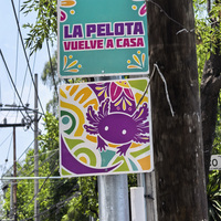 MEXICO-MEXICO CITY-WORLD CUP-MASCOT-AXOLOTL
