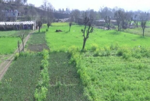 J-K sees rapid growth of agriculture entrepreneurs