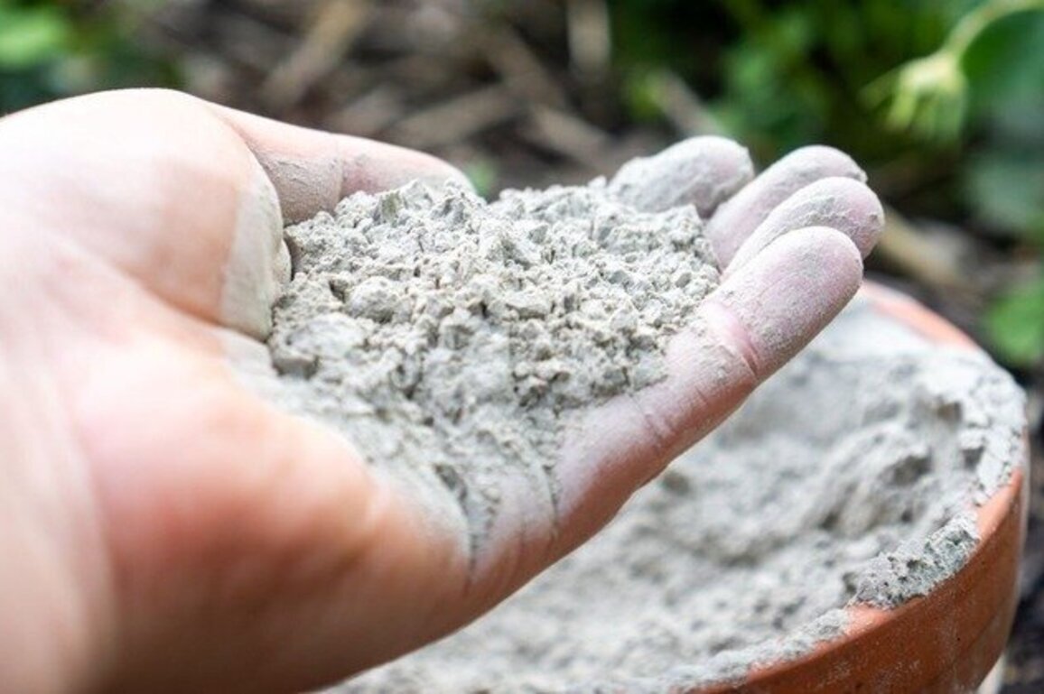 Iran war driving Iowa fertilizer prices to record highs  