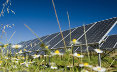 Solar farms can host up to three times as many birds as crop fields - new research