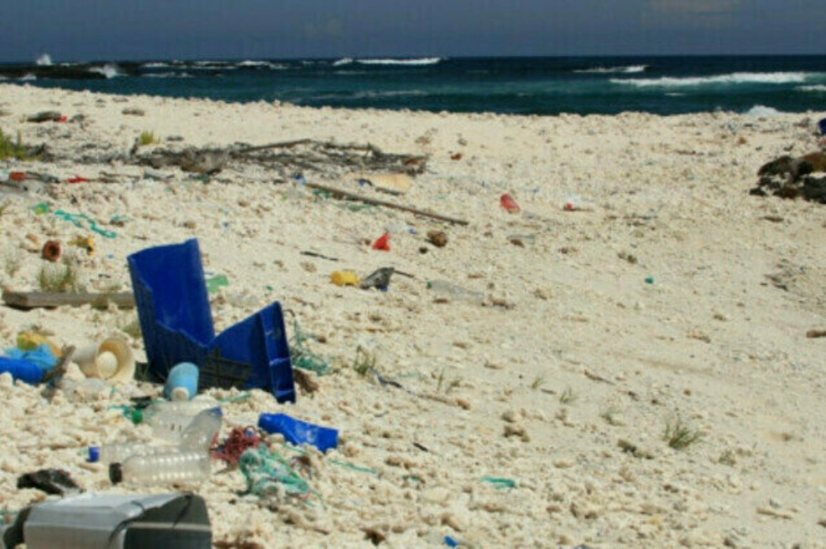 NUTEC Plastics Initiative Helps Protect Biodiversity in the Galapagos