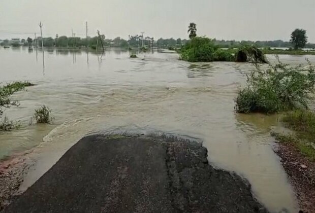 Andhra Pradesh:  Heavy damge to crops in NTR district due to cyclone Michaung