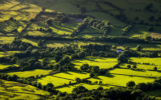 Expiring Countryside Stewardship agreements put environmental projects at risk