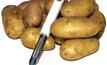 Imported potatoes could risk diseases