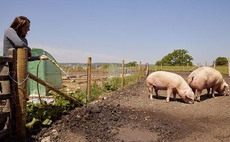 Bristols last working farm saved