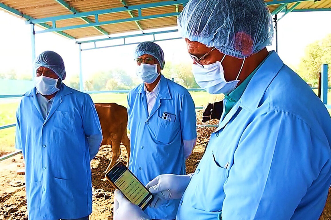 Gujarat sets sights on eradicating Foot and Mouth disease; massive vaccination drive underway