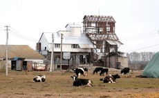 The impact of Russian invasion on Ukrainian dairy farm