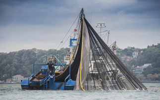 'A national scandal': More than 1.3 million tonnes of fish taken from UK's Marine Protected Areas since 2020