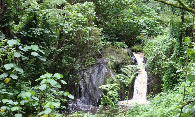 Uganda opens all its national parks to the public Uganda opens all its national parks to the public