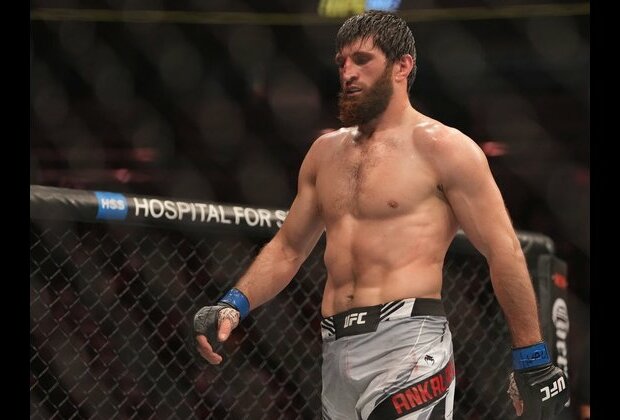 Magomed Ankalaev knocks out Johnny Walker at UFC Fight Night