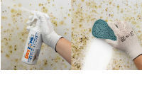 Safeguard's spray assassin puts an end to mould