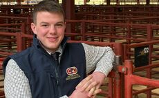 CAREERS: Young Farmer and trainee auctioneer lands dream job at the UK's largest sheep mart