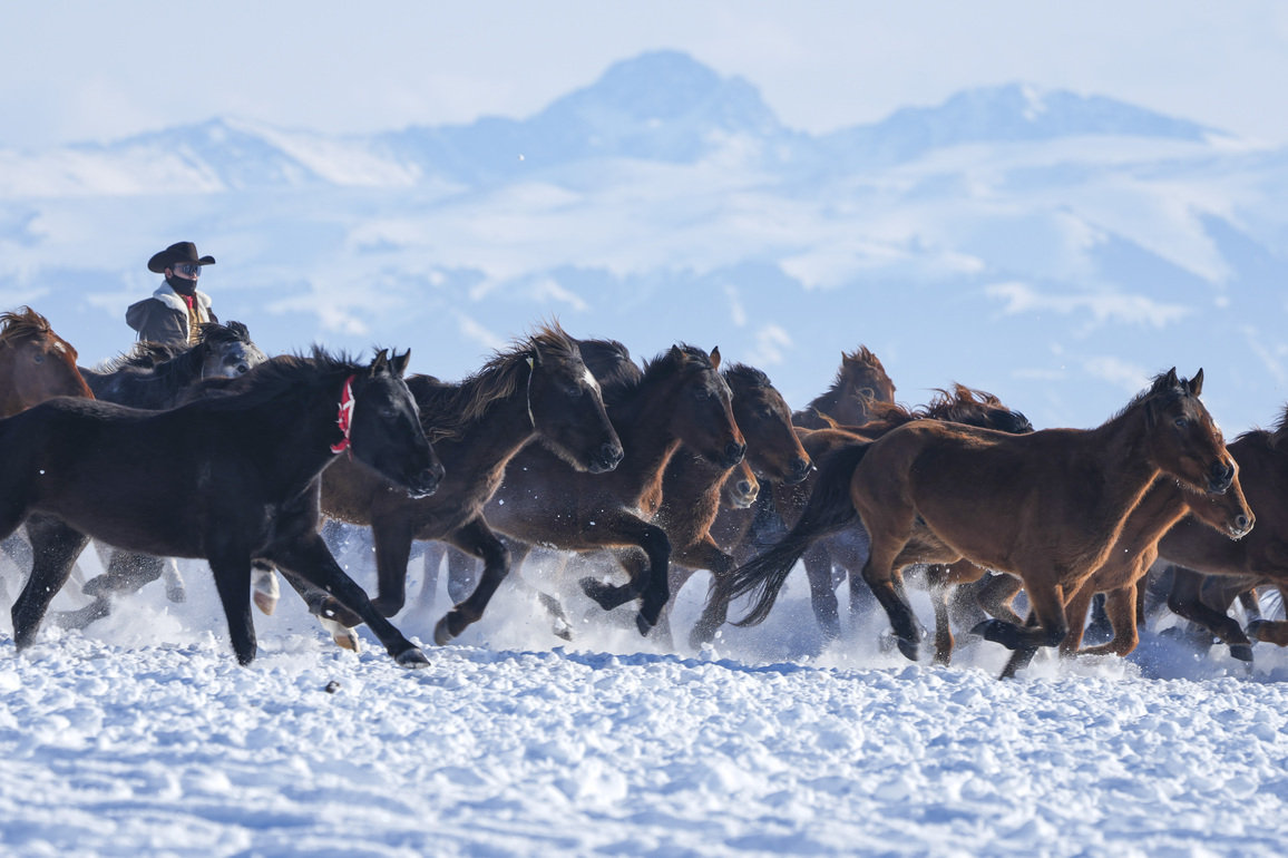 When horses lose their old jobs, a frontier county in Xinjiang finds new ones