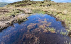 United Utilities expands peatland restoration goal after hitting 2030 target early