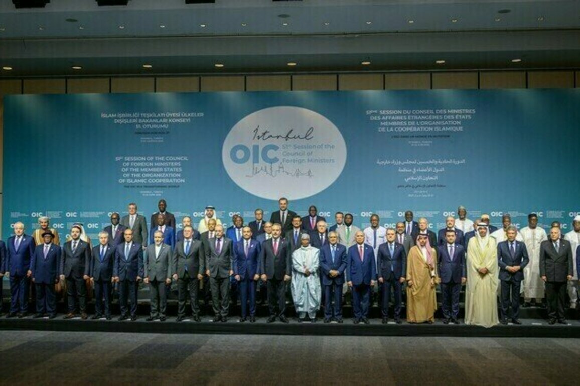 OIC Council of Foreign Ministers Meeting begins in Istanbul