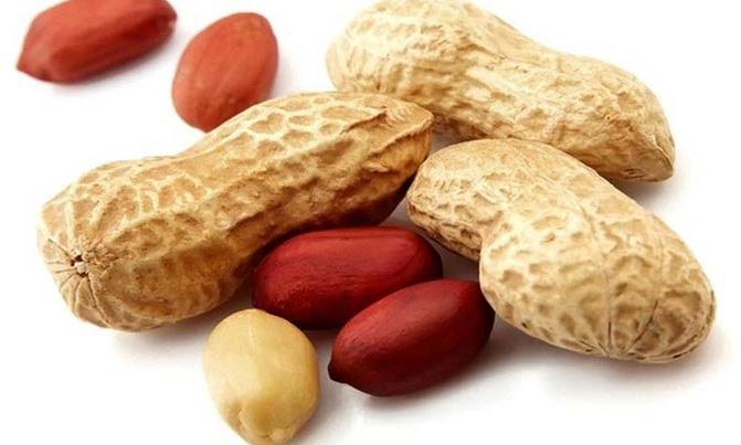 Nuts may boost male fertility - study Nuts may boost male fertility - study
