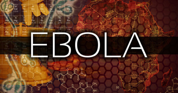 DRC Ebola Outbreak: 956 Cases, 247 Deaths Amid Rising Concern | Quick Digest