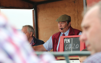 Thame market prepares for exciting future