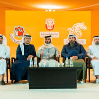 574 horses compete in 6th Al Dhafrah Arabian Horse Beauty Championship