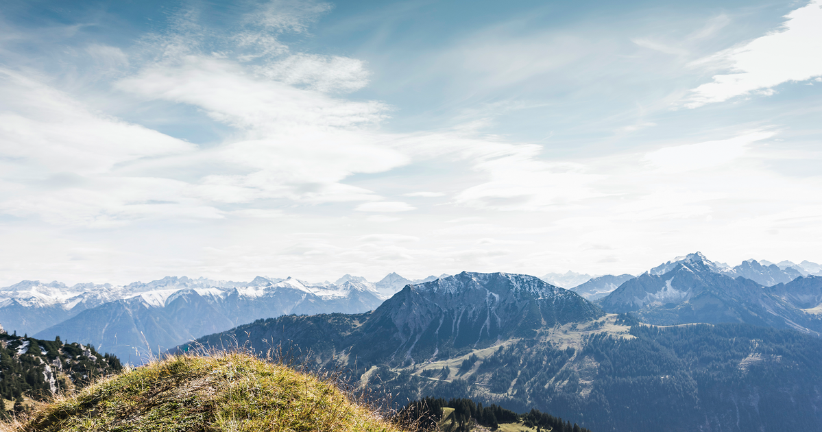 Partner Insight: Global dividends hit a Q3 record, led by financials