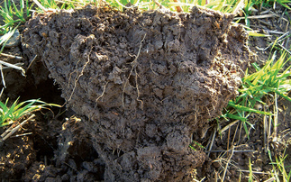 Project launched to explore early indicators of soil health