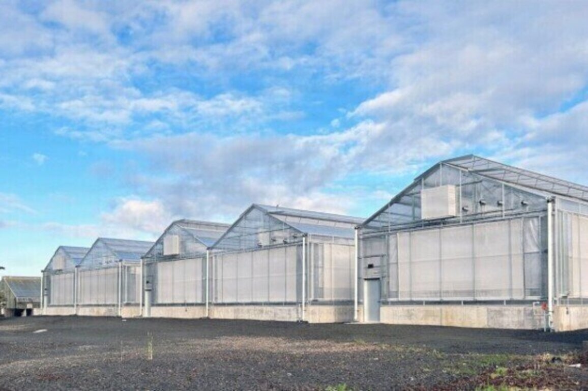 Building science: USACE delivers high-tech greenhouses for crop research capabilities