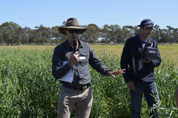 DPIRD research scientist and Feed365 project lead, Dr Daniel Real, said the year-round grazing strategy identified in the project could be tailored to specific enterprises. 
