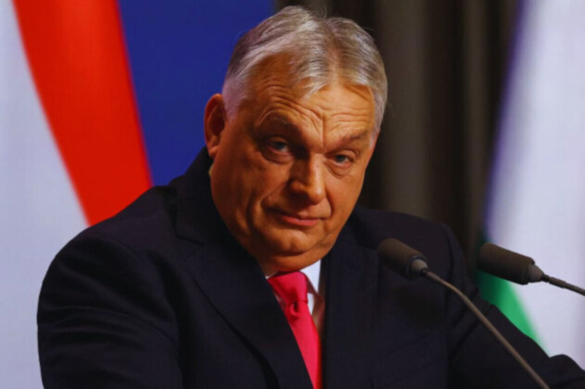 Orban: Europe Can Win by Cutting Aid to Ukraine