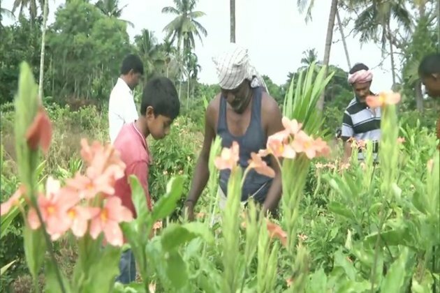 Flower growers in Karnataka seek govt aid impacted by Covid