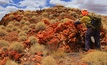 Sampling in the field at Lynas Find, Western Australia
