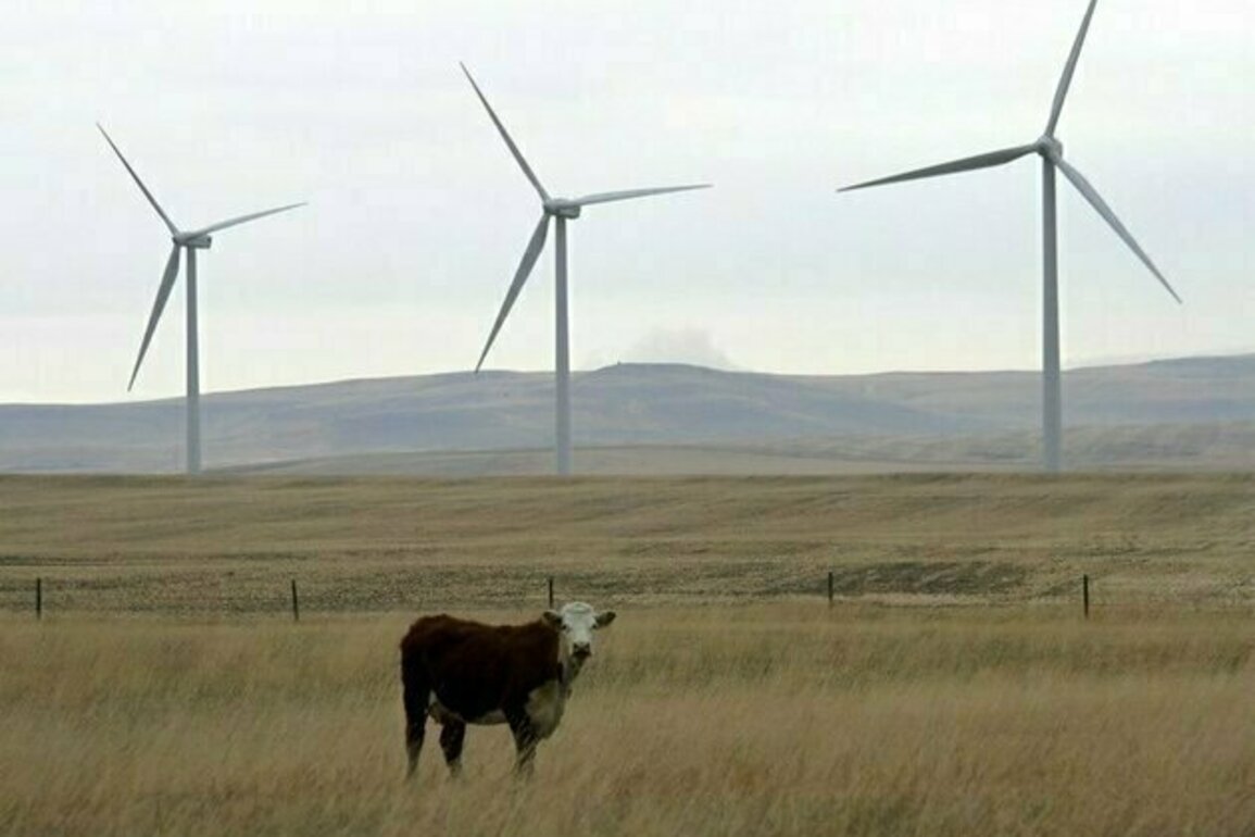 Alberta Renewables Queue Hits 4-Year Low as B.C., Nova Scotia Speed Deployment
