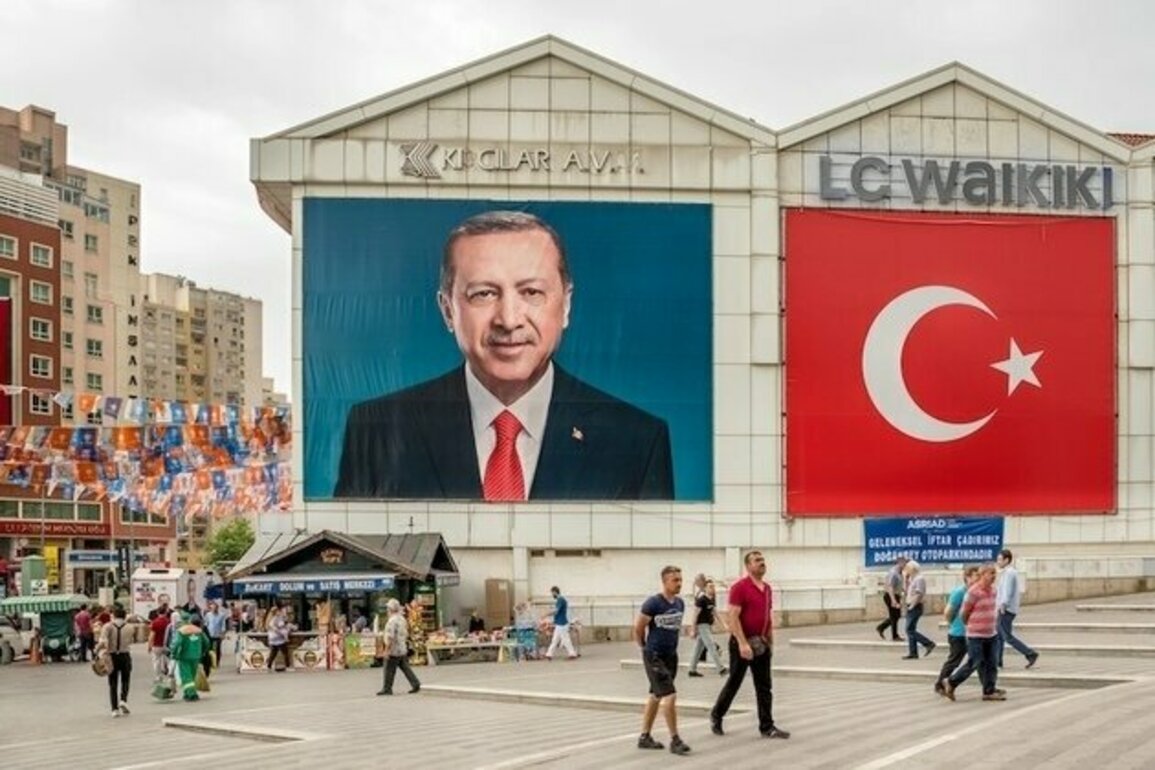 Opinion  Beyond Neo-Ottomanism in Turkeys Syria Strategy