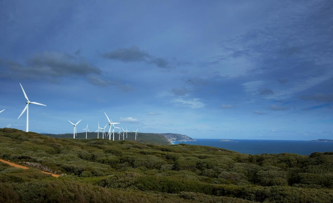 WA environment watchdog waves through Synergy's Tathra Wind Farm