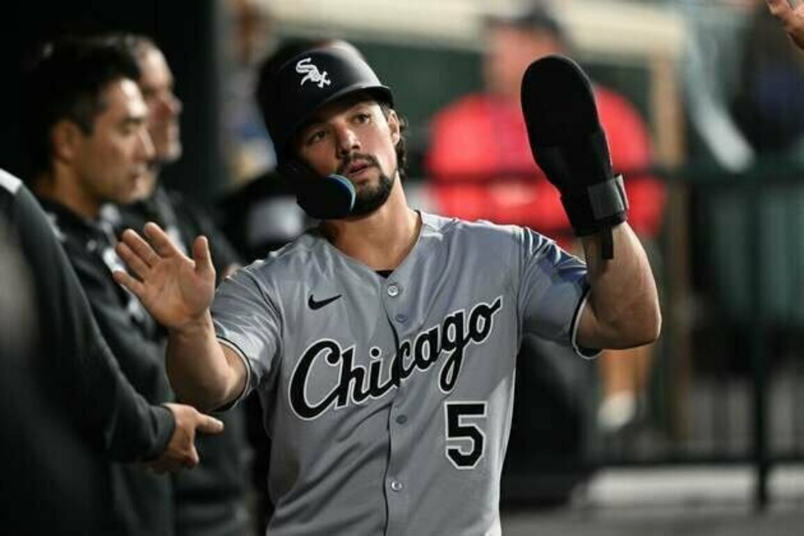 OF Dominic Fletcher, RHP Dan Altavilla join White Sox