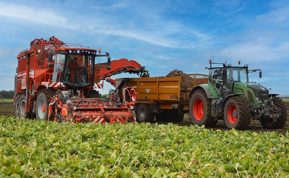 Variable sugar beet harvest as factories open later