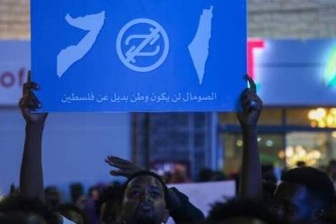 Somaliland denies hosting Israeli bases and resettling Palestinians