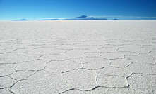 The scarcity of lithium experts will have a big say in which lithium developments get off the ground (image: Lithium X)