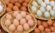 Free-range egg claims land two in hot water