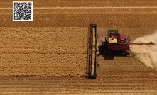 This year's grain harvest could be a rewarding job opportunity. Photo courtesy Australian Custom Harvesters. 