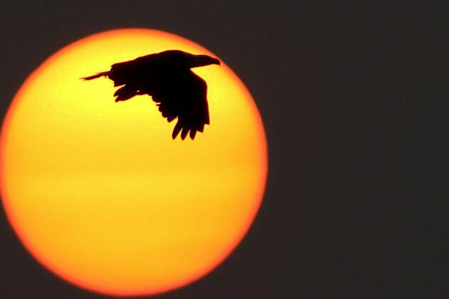 Opinion- Why Canada wildfire smoke is a summer fixture in Minnesota