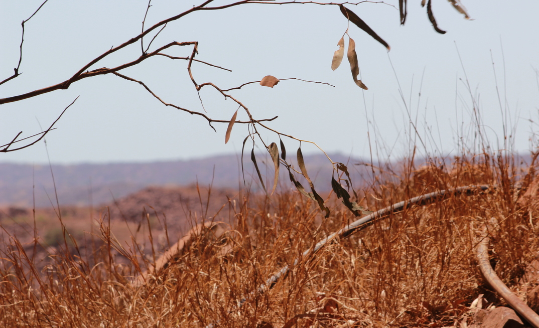 Rio Tinto's Dampier operations. Image by Karma Barndon.