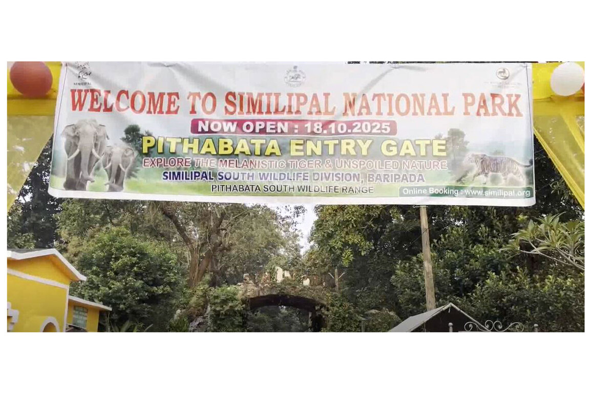 Odisha: Similipal National Park reopens for tourists in Mayurbhanj