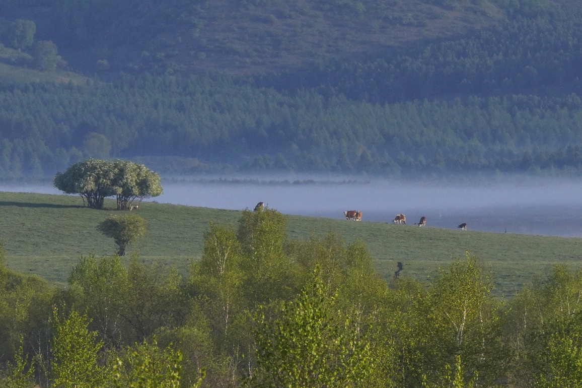 #CHINA-HEBEI-CHENGDE-PASTURE-SCENERY (CN)
