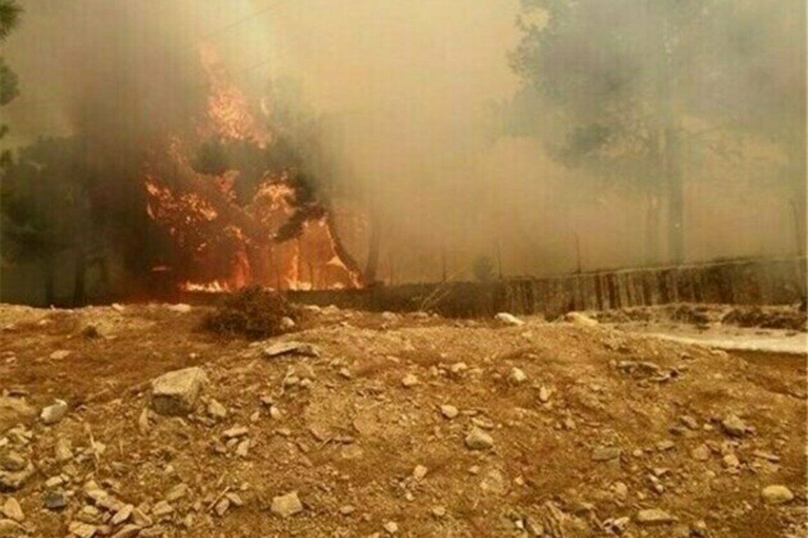 Firefighters in Turkey Battle to Contain Wildfires for Second Day